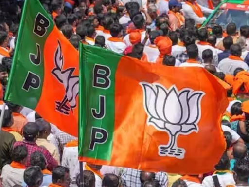 BJP leading in all seven Lok Sabha seats in Delhi | Delhi News - Times of India