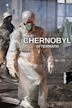 Chernobyl: Aftermath