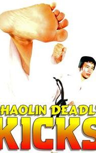 Shaolin Deadly Kicks