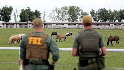 'Cowboy Cartel' tracks how FBI linked horse ranch to ruthless drug traffickers