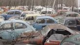 Rare Volkswagen car graveyard found in the woods with dozens of Beetles