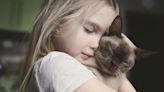 10 Best Cat Breeds for Kids