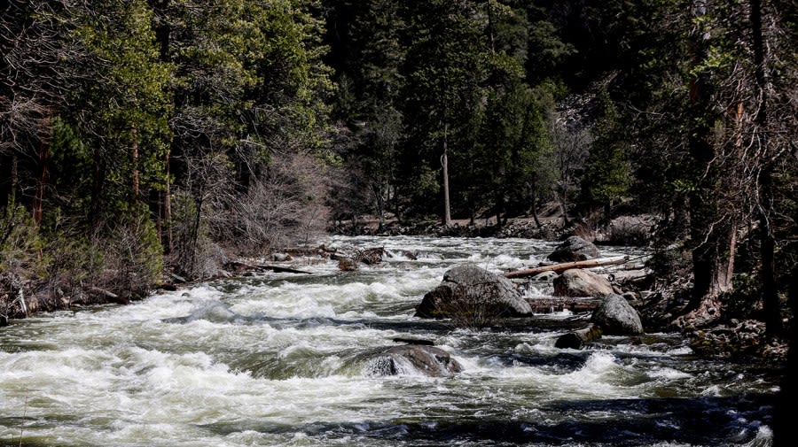 Merced River, San Joaquin River, to close for recreational use until further notice