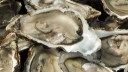 Climate change is coming for your oysters