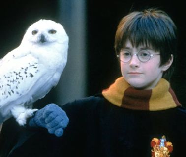 La serie de “Harry Potter” suma al equipo detrás de “Succession” y “Juego de tronos”