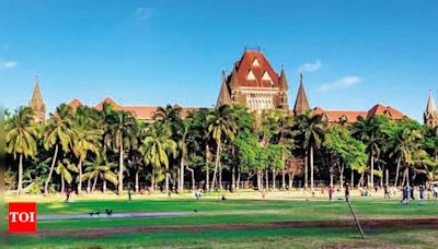 Bombay HC: Intimacy doesn't justify sexual assault on partner | Mumbai News - Times of India