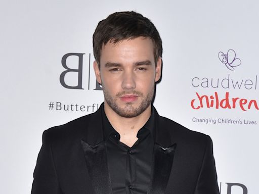 Liam Payne's second solo album 'postponed'