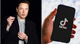 Musk, propietario de X, se opone a la prohibición de su competidor TikTok en EU | El Universal