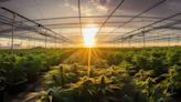 The Cannabist Company Holdings Inc. (PNK:CBSTF) Q4 2023 Earnings Call Transcript