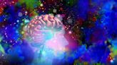 El alucinante potencial de las sustancias psicodélicas para recablear el cerebro