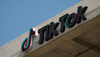 Over dozen US states sue TikTok claiming it's designed to be addictive to kids, harming their mental health