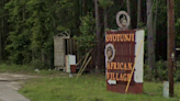 3 Beaufort Co. residents charged after African Village shooting; shooter still at large