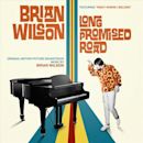 Brian Wilson: Long Promised Road