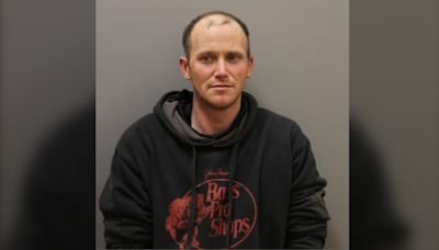 N.S. RCMP arrest man wanted on 2 provincewide warrants