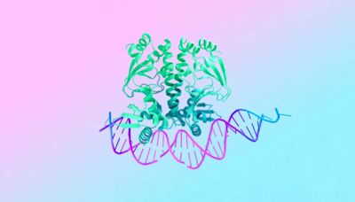 Google 的新一代 AlphaFold 3 AI 模型可以模擬 DNA 與蛋白質的交互作用