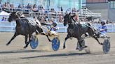 Harness racing driver James MacDonald captures 2024 Canadian driving championship