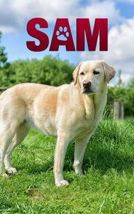 Sam