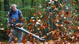 US bans on gasoline-powered leaf blowers grow, as does blowback from landscaping industry