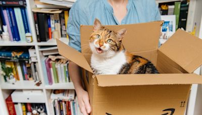 Amazon Prime Day's Massive Cat Tower Complete with Caves and Hammocks Is a Kittie's Dream