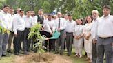 500 saplings planted at Panipat district court