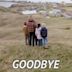 Goodbye Happiness (film)