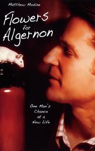 Flowers for Algernon