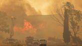 Los bomberos luchan por contener varios incendios forestales que arrasan Turquía