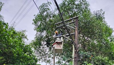 凱米暴風圈進逼 台電台北市區處籲修剪樹枝防颱