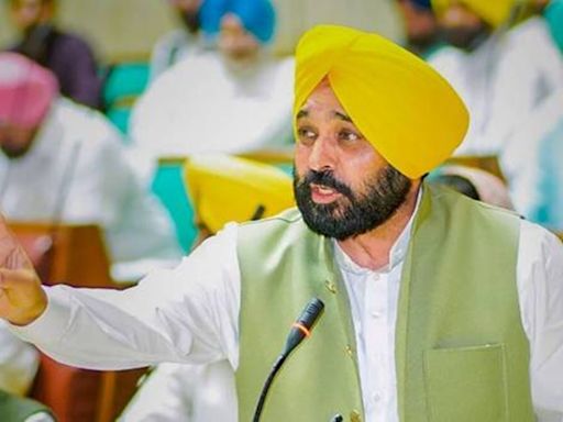 What is leptospirosis? All about deadly animal-borne infection Punjab CM Bhagwant Mann is suffering from