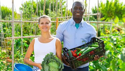 Les secrets d'experts en arrosage pour que le potager produise plus de fruits et de légumes