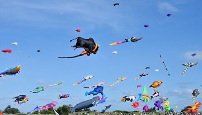 Tamil Nadu International Kite Festival begins