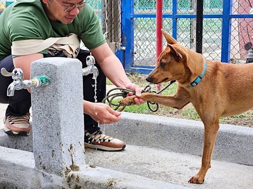 綠寶石寵物公園增設水龍頭 毛寶貝清潔更方便