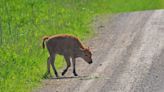 The best national wildlife refuge to visit in America is in Iowa, says 10Best