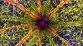 Unraveled nerves and mesmerizing caffeine crystals: 10 sensational glimpses of the microscopic realm