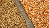 Exportações de soja e milho dos EUA caem na semana