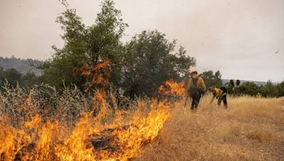 How much did Park Fire grow over the weekend? How much is contained? Here’s a quick rundown