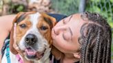 Do you talk to your dog? Florida ranks high for people who say they do