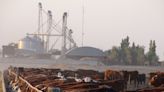 Fuerte pérdida de rentabilidad para los feedlots en julio