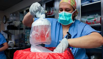 重獲新生不足2個月 全球首例移植豬腎患者去世