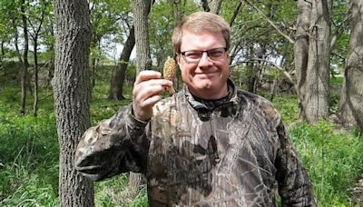 Morel mushrooms are starting to peek out in eastern Nebraska's river bottoms
