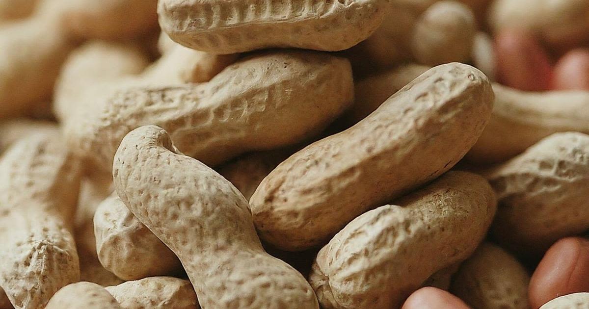 Babies exposed to peanuts less likely to be allergic years later, study says