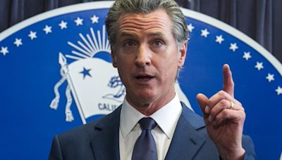 California governor Gavin Newsom vetoes bill to create first-in-nation AI safety measures