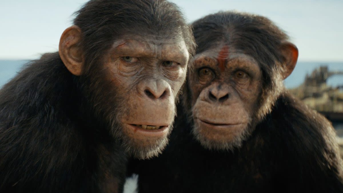 Kingdom of the Planet of the Apes Reveals the Franchise’s Secret to Success