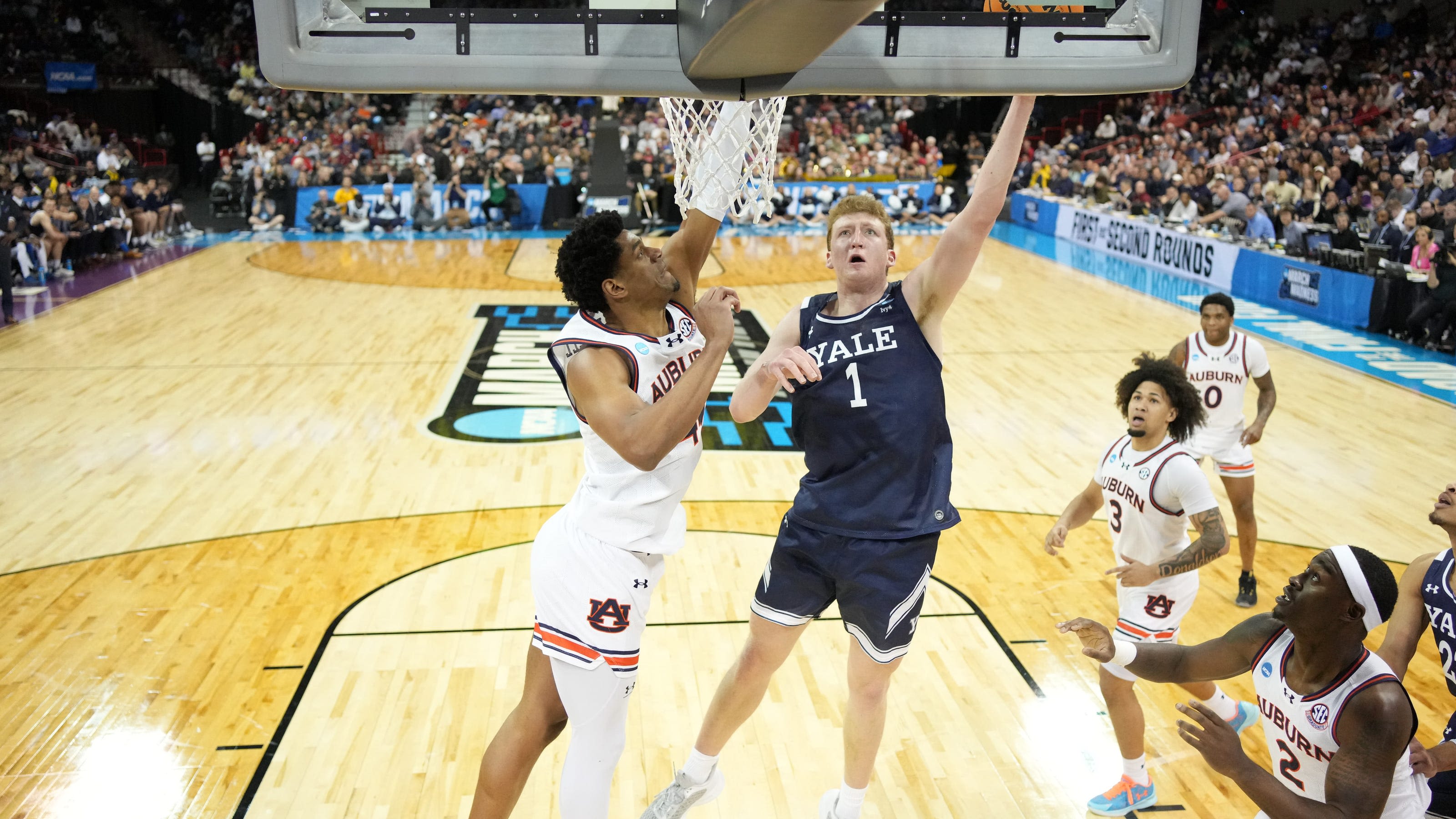 Meet the 2024-25 Michigan basketball roster assembled by new coach Dusty May