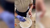 Video: Mujer intentó meter droga a la cárcel en un frasco de natilla | Teletica