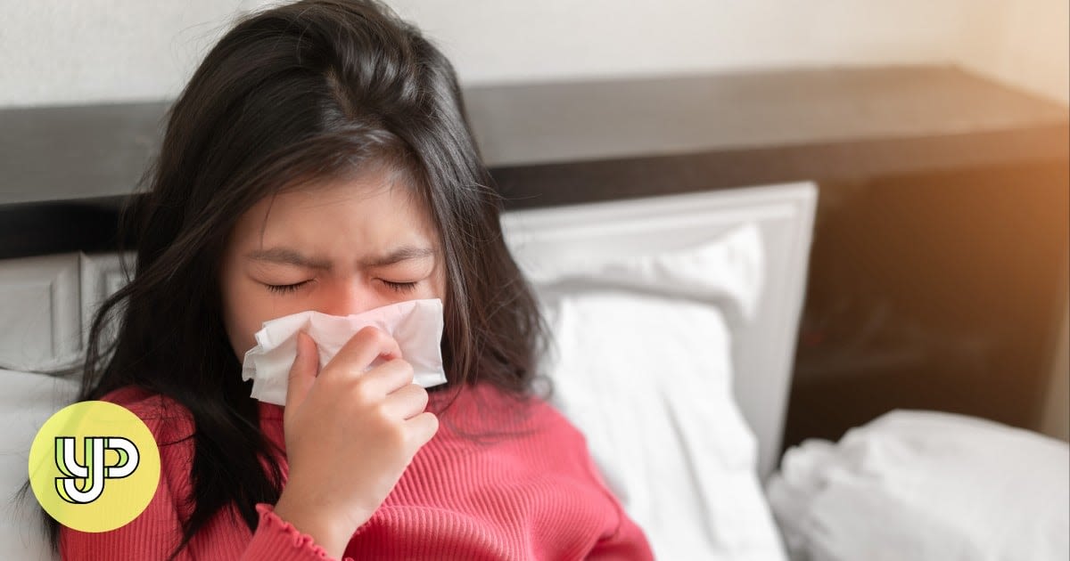 Hong Kong could face a longer flu season, experts warn