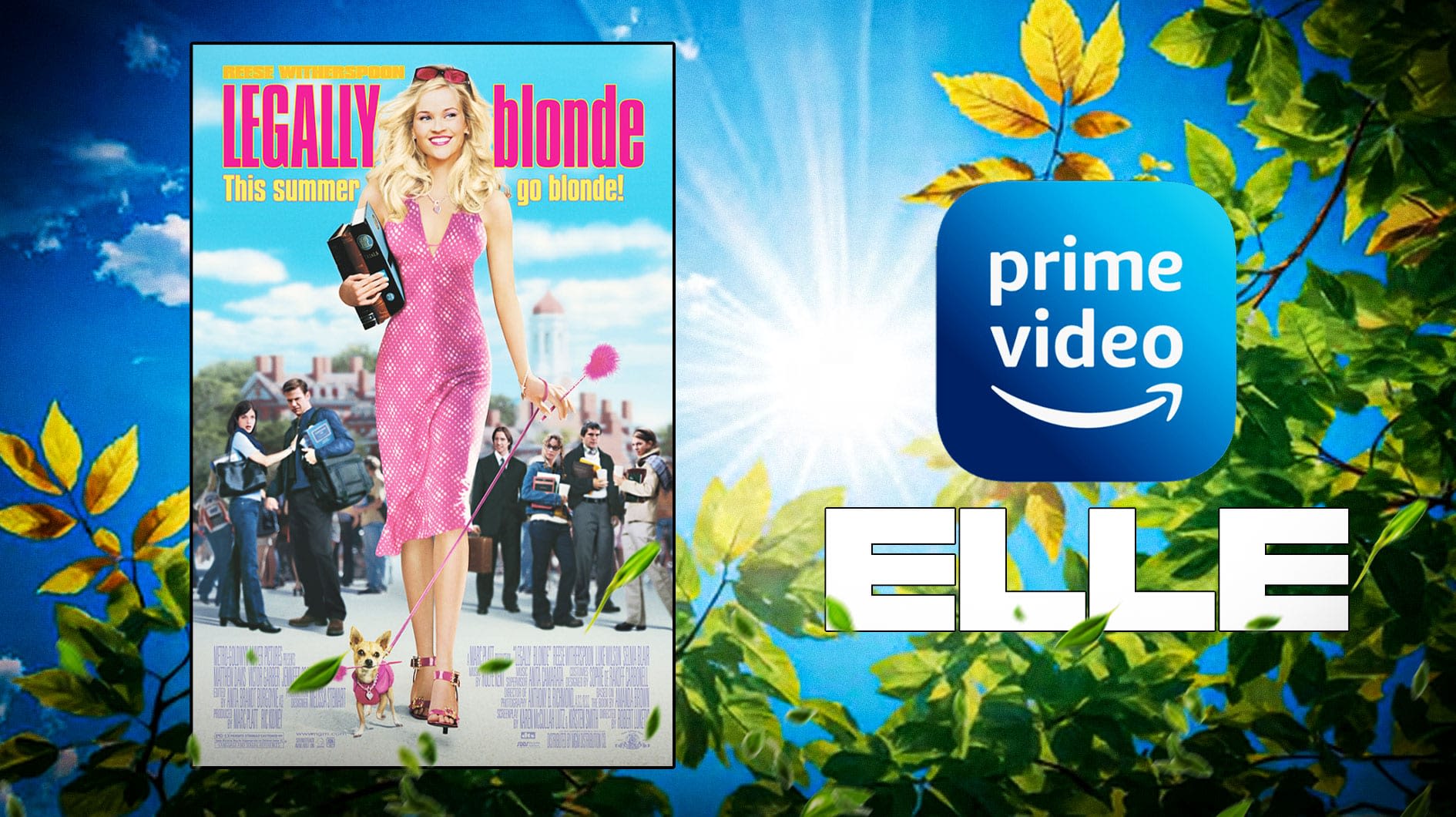 Amazon greenlights Legally Blonde prequel, Elle