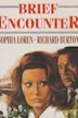 Brief Encounter (1974 film)
