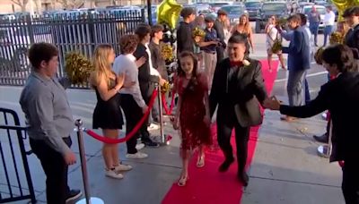 Night Under the Stars: Students from Christopher Columbus High School take part in special needs prom - WSVN 7News | Miami...