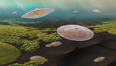 Fossils suggest complex life on Earth 1.5bn years older than thought